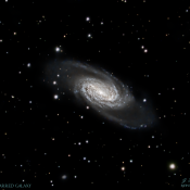 NGC2903 Spiral Barred Galaxy C14-f7 2600MCP 151min-signed