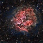 IC 5146 Cocoon Nebula C14-f7 294MCP 126min-A-signed